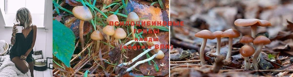 мет Арсеньев